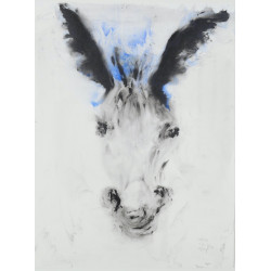 DUMONTEIL Claire - Portrait...