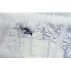 LAQUET Christine - Un lien,...