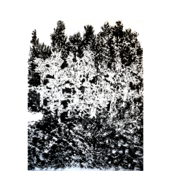FAGES Mathilde - Paysage...