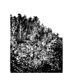 FAGES Mathilde - Paysage...