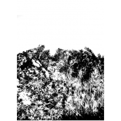 FAGES Mathilde - Paysage...