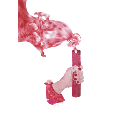 LECOQ Sandra WOLSKA Tatiana