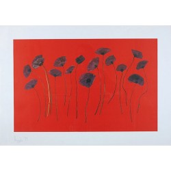 AUPPERLE Roger - Coquelicots