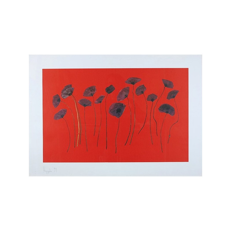 AUPPERLE Roger - Coquelicots