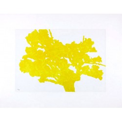 HOLLAN Alexandre - Arbre jaune